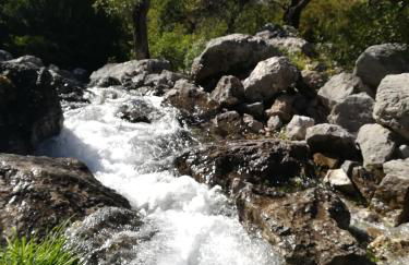 Alvarado Loft Rural - Foto 27