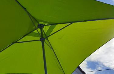 Norverde - Açores - Photo 13