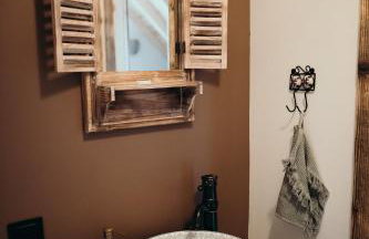 Mech i brzoza - Foto 45