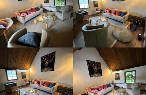 Noah - Seeleben auf Zeit am Rursee - Foto 43