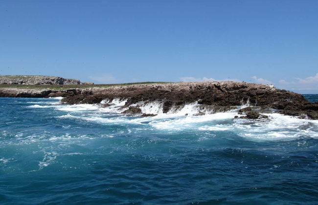 Escursione a Punta Mita e alle isole Marietas - Foto 4