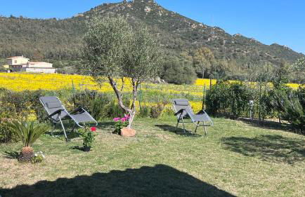 Villa Patrizia - Foto 17