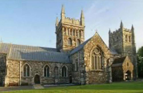 Holiday home in Furzehill - Photo 22