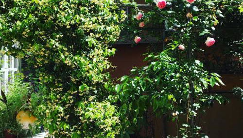 Viadelloca35 - Foto 2, Garden view