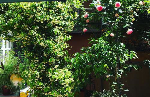 Viadelloca35 - Foto 2