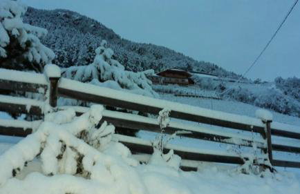 Löchlerhof - Foto 6