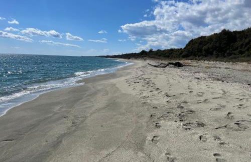 App. 2 p design zen vue mer N182 - Foto 34