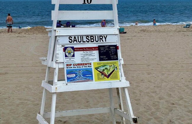 Saulsbury Street 23 #1 - Photo 17