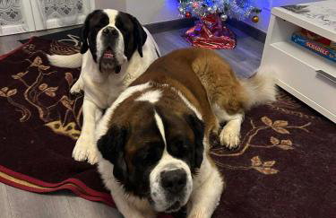 Chez Vovone 3 étoiles clévacances - Foto 7