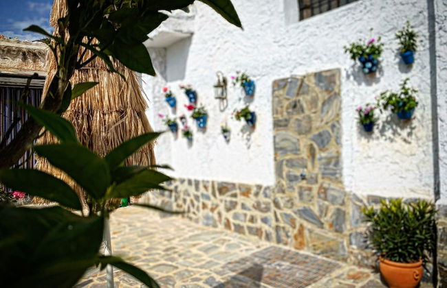 Finca Las Fuentezuelas - Photo 28