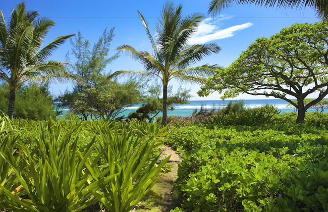 Castle Kaha Lani Resort - Foto 41