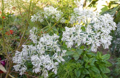 Lagos House Α - Photo 10