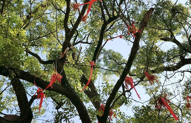 FangLian Lake Holiday Resort - Photo 48