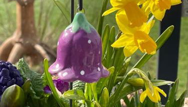 Bergchalet Löwenzahn - Foto 3, Garden