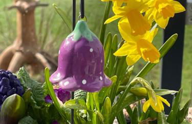 Bergchalet Löwenzahn - Foto 3