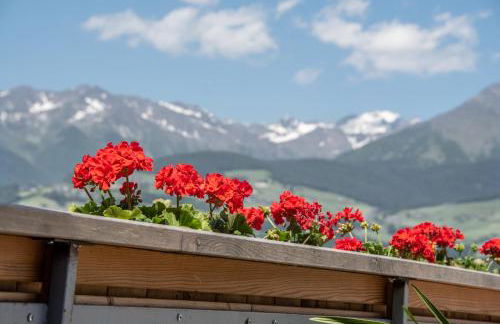 Forchnerhof Panorama- Rienzschlucht - Photo 18