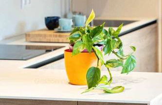 La Quintana Berbes By Silastur - Foto 40