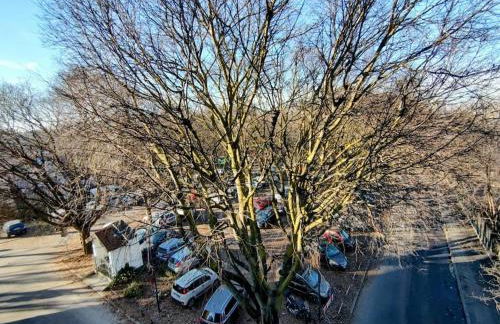 Bilocale Certosa- Fiera Milano - Foto 11