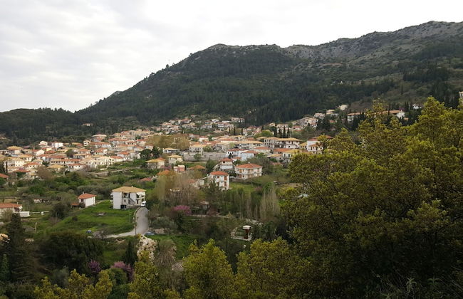 Villas Karya - Photo 21