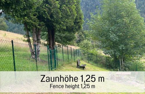 Hüttenchalet Waldschatz mit Sauna, Kamin und eingezäunt - Foto 6