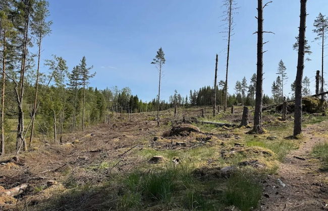 6 Person Holiday Home in Vreta Kloster - Foto 14