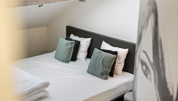 Mansion in Aywaille With Sauna - Photo 3, Room