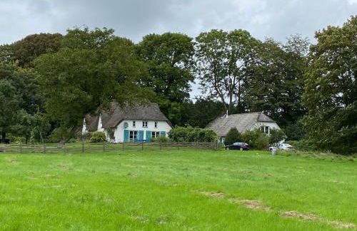 Moorhuus - Paradies am Wilden Moor - Foto 8