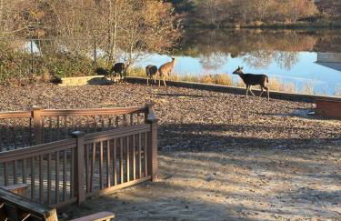 Gearhart Lakefront Vacation Rental - Foto 65