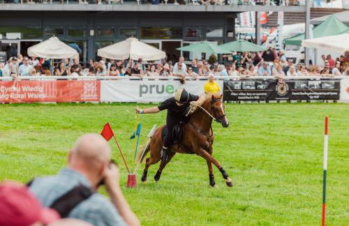 2 Bed in Llandrindod Wells oc-88203 - Foto 29