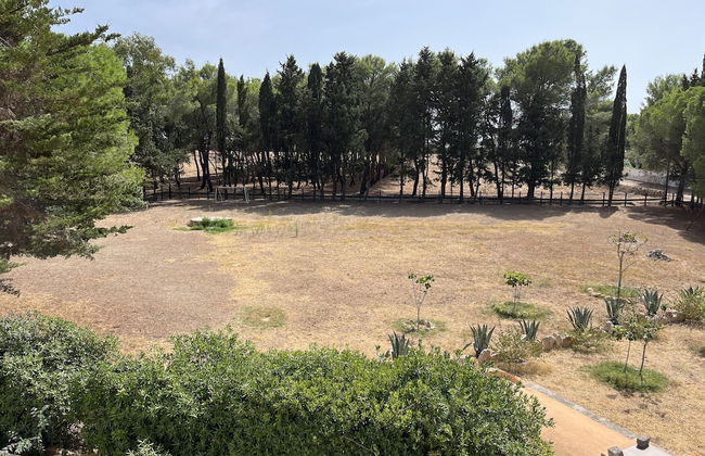 Masseria La Camardia - Foto 62