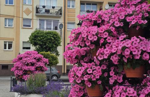 Rynek-Centrum - Foto 8