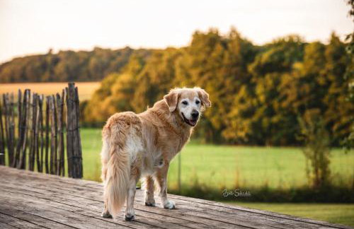 Ferienhaus Rote Sau - Foto 19