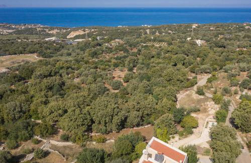 Aura Traditional Apartment - Foto 43