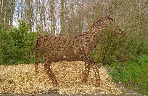 Midlum Zaunkönig - Foto 20