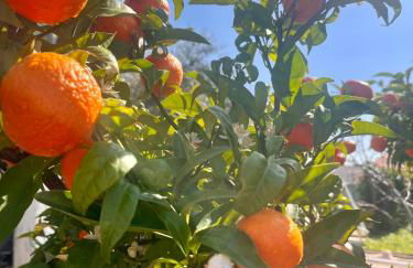 Holiday Oasis with Private Hammam-style Bath, Mini Golf - Foto 31