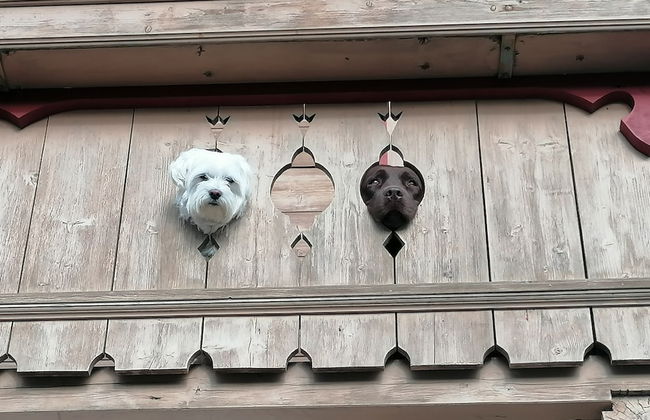 Apartment Walchen Near Ski Slopes - Foto 14