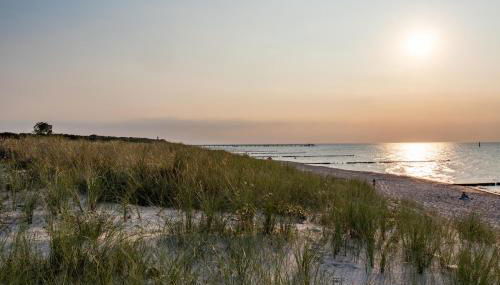 Ostsee Domizil Graal-Müritz - Foto 4