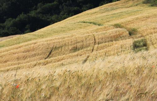 Villa Cavagnetti - Foto 29