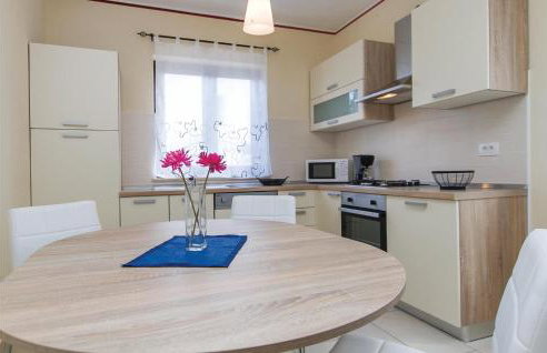 Holiday Home Nedescina 49 - Foto 34