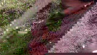 Mulala Community Tour - Foto 1