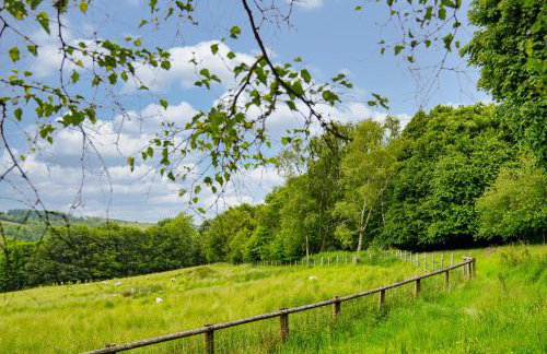 Brynarth Country Cottages - Foto 11