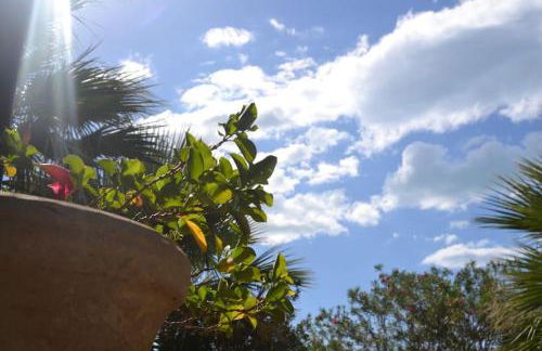 Villa sul mare - Foto 16