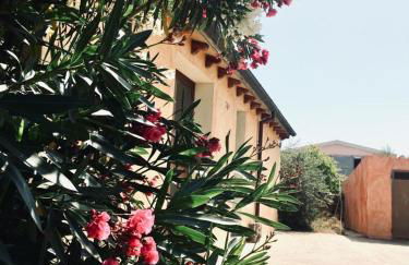 Agriturismo Funtan'Arva - Foto 17