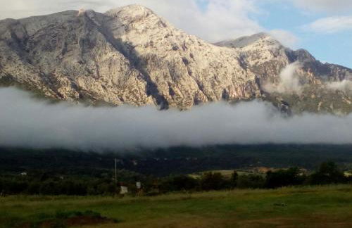 Agriturismo Guthiddai - Foto 23