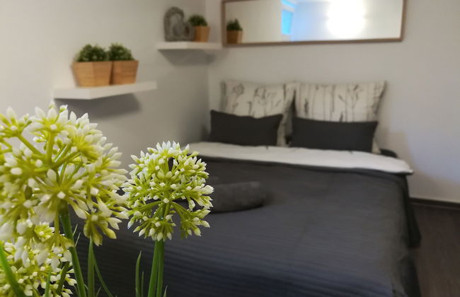 Ferienwohnungen Prestige 2 - Foto 16