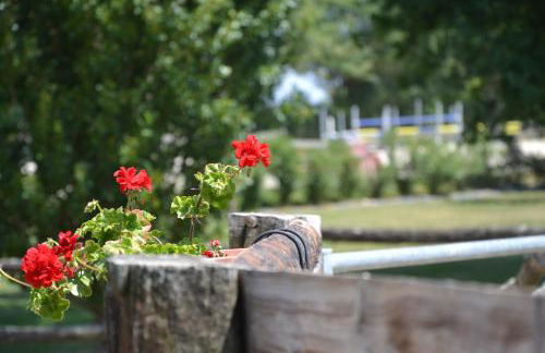 Gîte au Haras - Foto 17