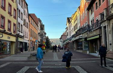 Évasion à Saverne - entre nature et douceur de vivre - Foto 12