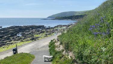 Sea Spirit - Sweeping Sea Views first floor spacious modern apartment in Looe- with FREE parking! - Foto 2