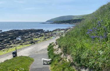 Sea Spirit - Sweeping Sea Views first floor spacious modern apartment in Looe- with FREE parking! - Foto 2