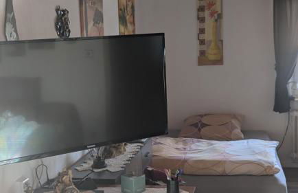 Ferienwohnung mit Terrasse für 1-4 Personen - Foto 5